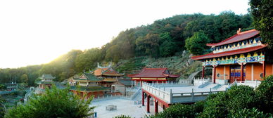 雪峰寺牡丹花什么时候开