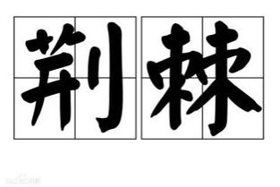 坦途和荆棘的意思是什么，荆棘的意思是什么二年级下册