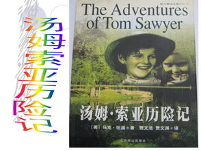 汤姆索亚历险记作者有后续作品吗，汤姆索亚历险记作者介绍20字