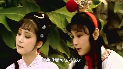 《红楼梦》贾宝玉的丫鬟是谁?