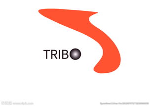 the big imageboard (tbib)官网，triban自行车