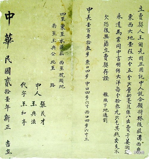 曾祖是什么意思