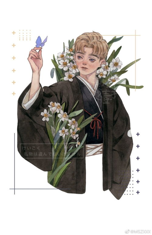 偏凤和正风区别