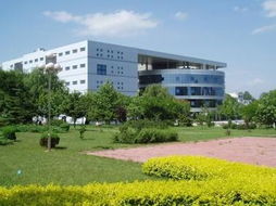 东北石油大学秦皇岛分校是专科还是本科?