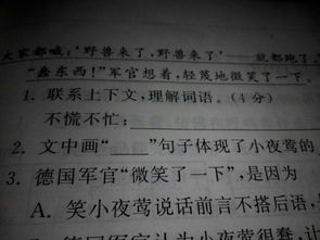 倾盆大雨的意思，倾泻的意思