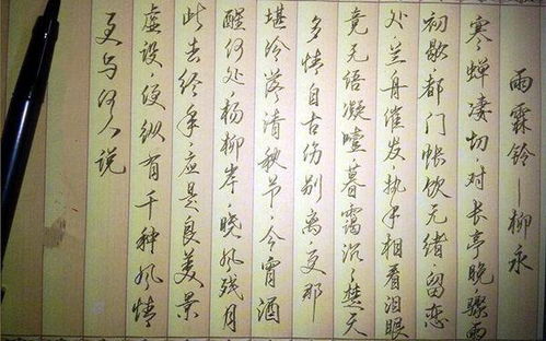 《雨霖铃》柳永