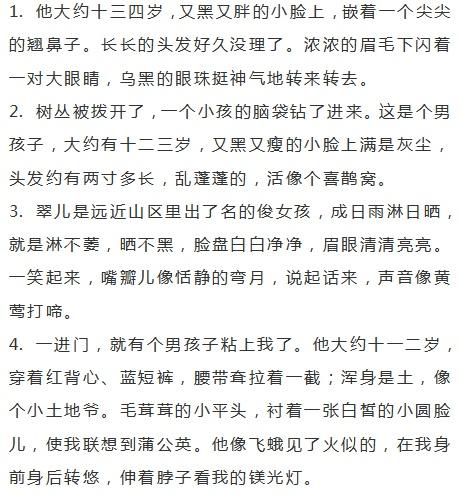 描写人物的优秀作文600字