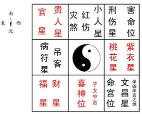 2012年十二生肖运势--虎