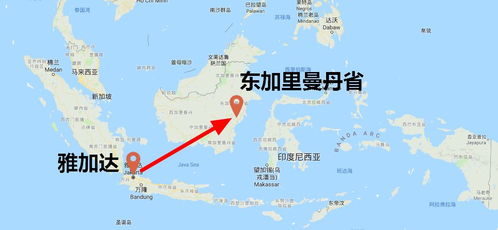 印尼东加红狮地址