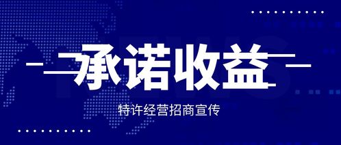 电视剧招商是什么意思，公司招商是什么意思