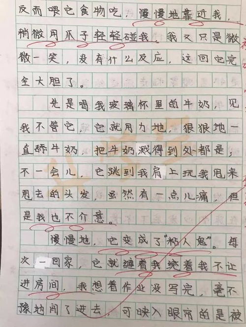 作文老师我想对您说500字，作文老师怎么写