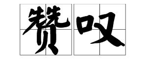 令人赞叹的意思，不禁赞叹的意思