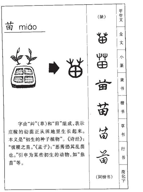 草字笔顺笔画，苗字笔顺田字格写法