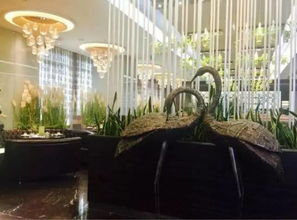 稀客是什么意思 什么是稀客
