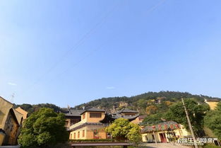 归山陵园价格，归山玉的小说