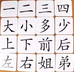 辑的拼音怎么写，辑的拼音和意思