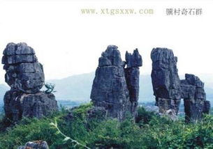 关于“我们这一家”的问题