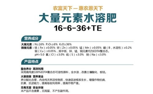 TE是什么意思?
