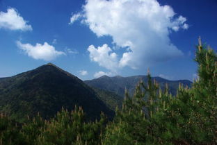 坳组词，坳字怎么读