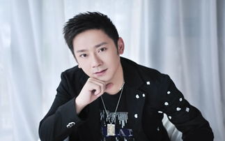做你的爱人饶天亮mv安然，做你的爱人饶天亮演唱DJ