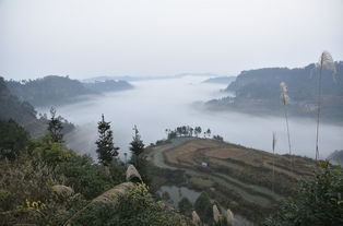坳怎么读 坳字简单介绍