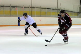 hockey stick，hockeymonkey