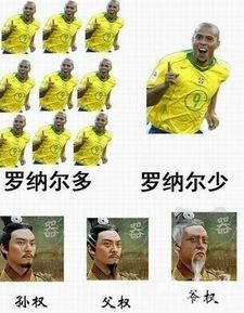 伙伴的反义词是什么词语，伙伴的反义词二年级