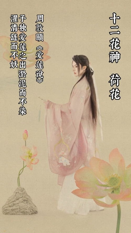 清涟的拼音狐清涟的拼音是什么