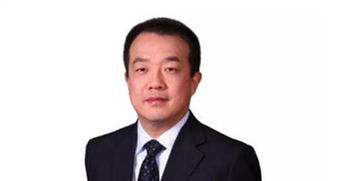 中粮国际俄罗斯有限公司董事长是谁