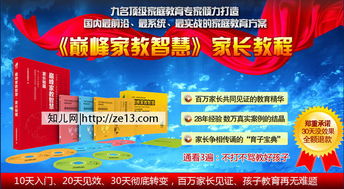 谁买过巅峰家教智慧,怎么样?