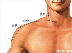 髃怎么读音读出来，髃的同音字