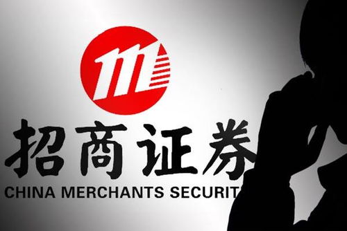 招商是什么意思又是做什么的?