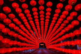 火红的什么，火红的火写的小说