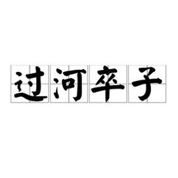 过河卒子赛如车，过河卒子作文800字议论文高中