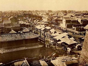 1880年属什么生肖，1880年用英语怎么说