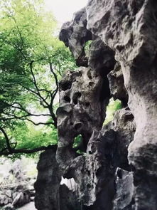 皱的拼音组词