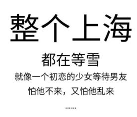 皇天不负有心人,星光不问赶路人，皇天不负有心人正确生肖