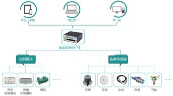 顺联网络科技有限公司怎么样