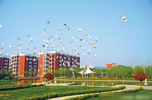开封商丘学院怎么样，商丘学院怎么样 百度网盘