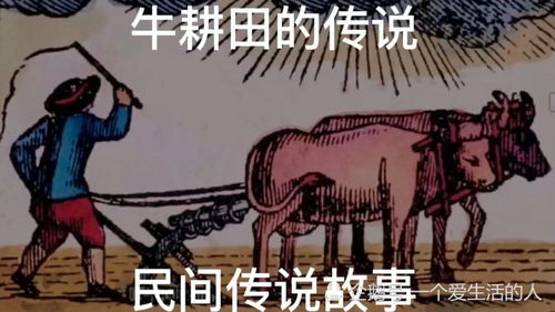 牛的传说故事简短，牛的传说故事25字简写