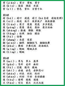 蛮组词组，蛮组词和部首