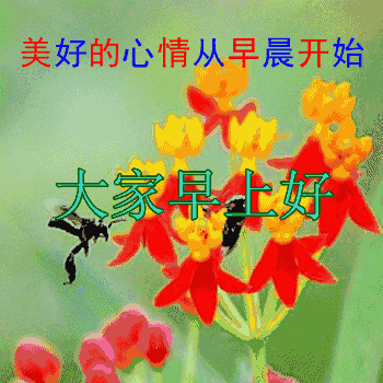 早上起床口苦口臭唾液浑浊发黄有血，早上起来口苦是啥原因