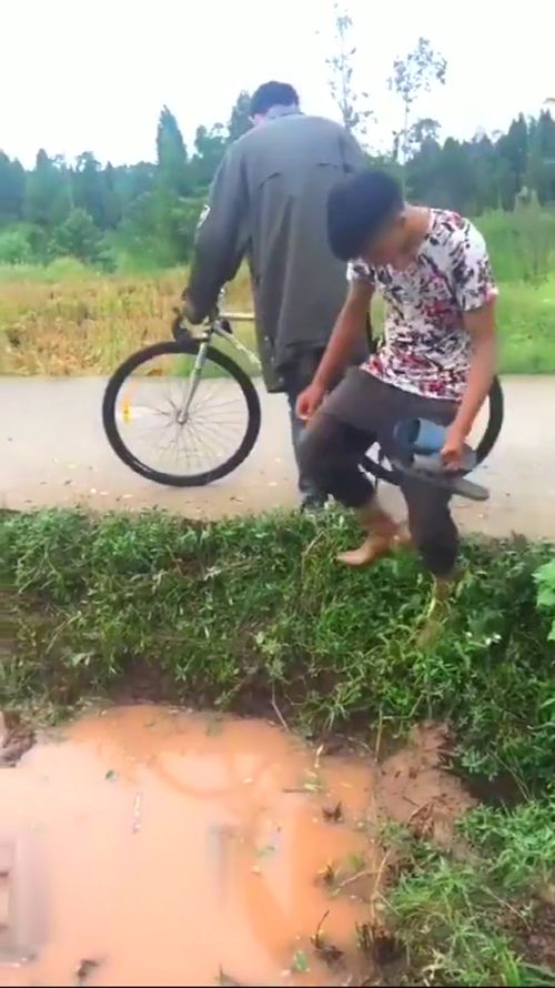 凑巧拼音