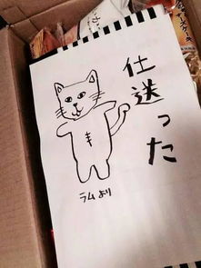 包裹的裹笔顺怎么写?