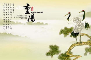 采桑子 重阳 全文及赏析