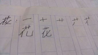 花的笔顺笔画顺序表