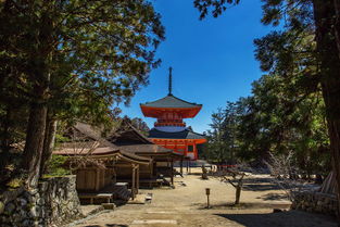 日本四大寺什么意思?作何解释?