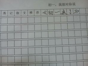 我想对您说作文400字左右13篇