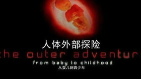 心理分析理论和精神分析理论