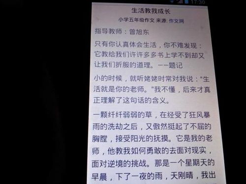 我的姐姐作文